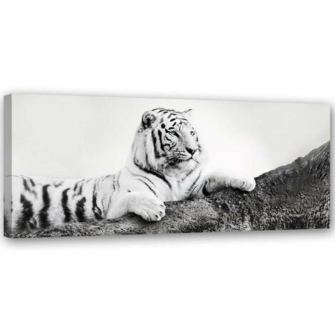 Quadro su tela, Animali tigre Africa - 90x30
