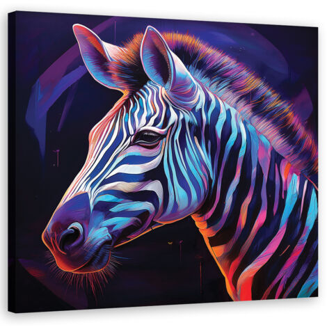 Quadro su tela, Animali Zebra Colore - 40x40