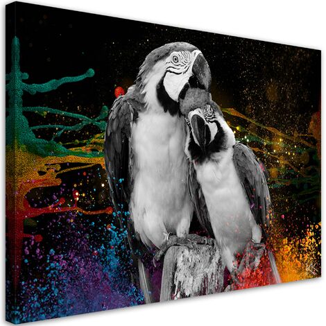 Quadro su tela, Astrazione di pappagalli colorati - 60x40