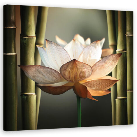 Quadro su tela, BambÃ¹ fiore Zen - 30x30
