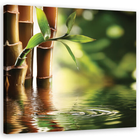 Quadro su tela, BambÃ¹ Zen - 30x30