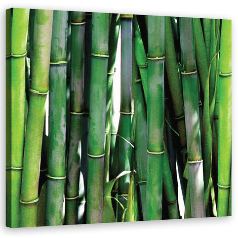 Quadro su tela, Bamboo verde - 60x60