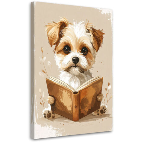 Quadro su tela, Cane che legge un libro animali, 20x30