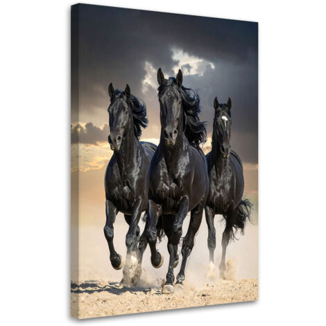 Quadro su tela, Cavalli neri al galoppo natura, 40x60