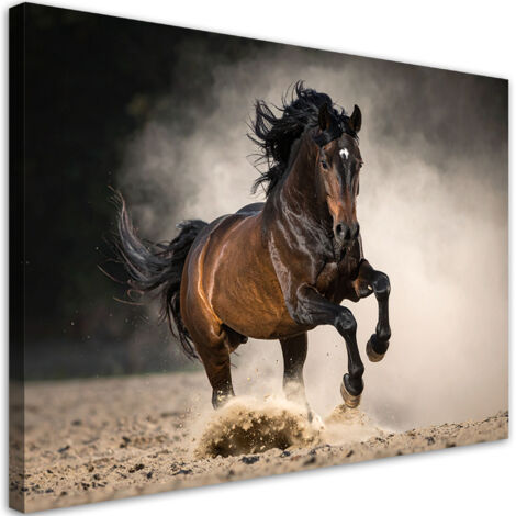 Quadro su tela, Cavallo marrone al galoppo sulla sabbia, 30x20