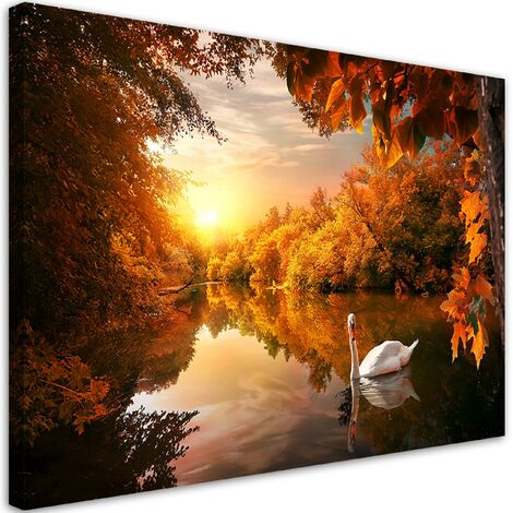 Quadro su tela, Cigno sullo stagno autunno - 120x80