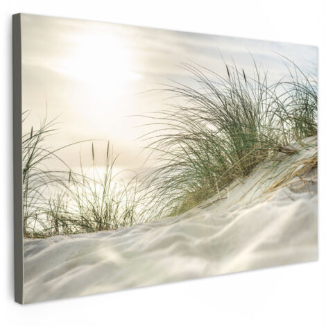 QUADRO SU TELA Dune con erba da spiaggia sotto il sole del Parco Nazionale tedesco Schleswig-Holsteinisches Wattenmeer 30x20 cm