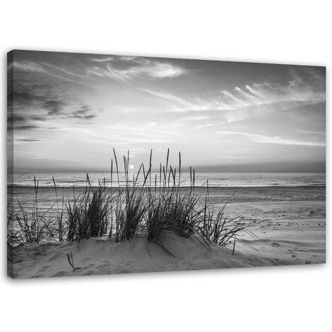 Quadro su tela, Erba sulla spiaggia grigia - 90x60