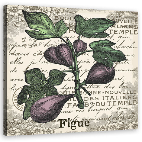 Quadro su tela, Fichi vintage - 30x30