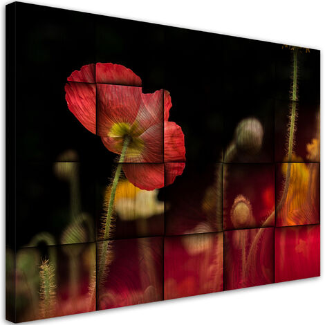 Quadro su tela, Fiore di papavero rosso - 60x40