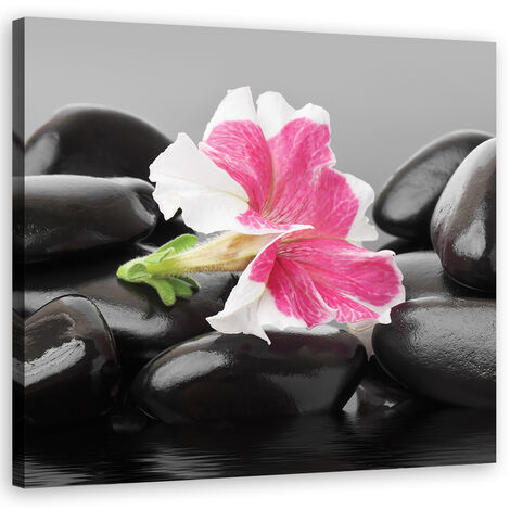 Quadro su tela, Fiore rosa su pietre zen - 40x40