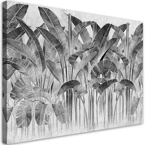 Quadro su tela, Foglie di banana grigia - 100x70