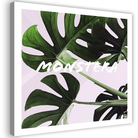 Quadro su tela, Foglie esotiche di Monstera - 30x30