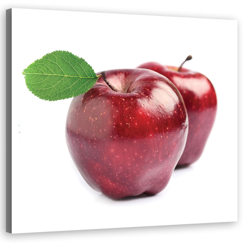 Quadro su tela, Foglie verdi su fondo cemento