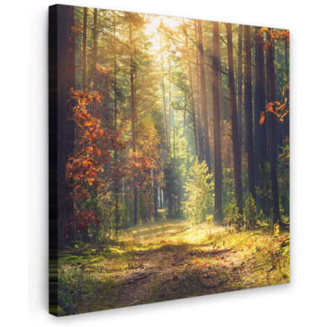 QUADRO SU TELA Foresta - Autunno - Alberi 20x20 cm