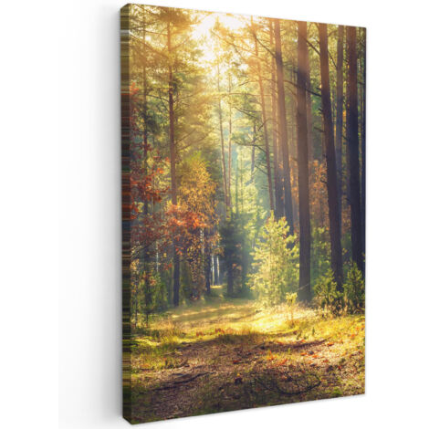 QUADRO SU TELA Foresta - Autunno - Alberi 20x30 cm