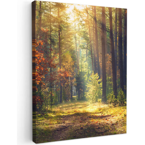 QUADRO SU TELA Foresta - Autunno - Alberi 60x80 cm