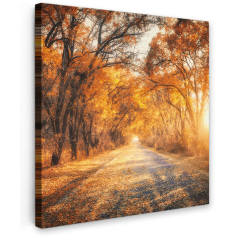QUADRO SU TELA Foresta - Autunno - Alberi - Sentiero forestale - Natura 20x20 cm