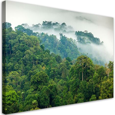 Quadro su tela, Foresta nella nebbia - 60x40