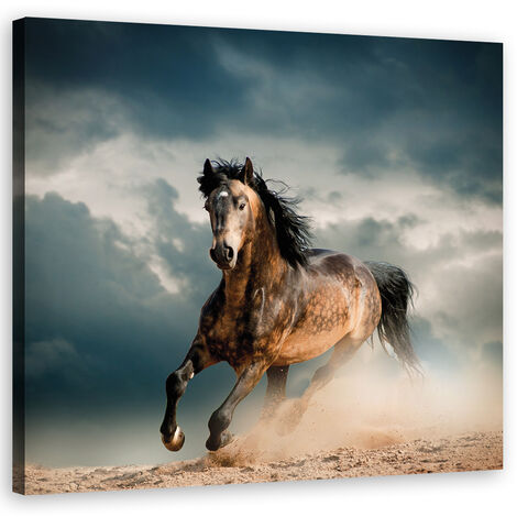 Quadro su tela, Galoppo di cavallo - 30x30