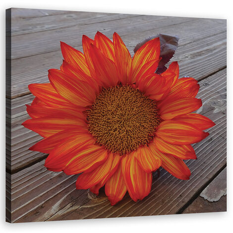 Quadro su tela, Girasole arancione - 60x60