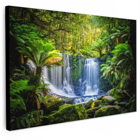 QUADRO SU TELA Giungla - Cascata - Australia - Piante - Natura 30x20 cm