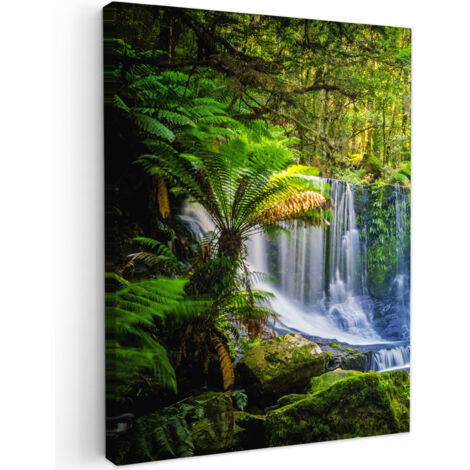 QUADRO SU TELA Giungla - Cascata - Australia - Piante - Natura 60x80 cm