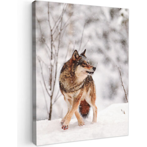 QUADRO SU TELA Lupo - Inverno - Neve - Natura - Animali 60x80 cm