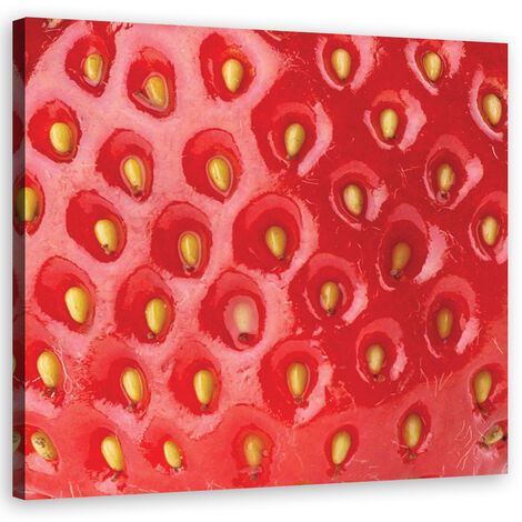 Quadro su tela, Macro fragola - 50x50