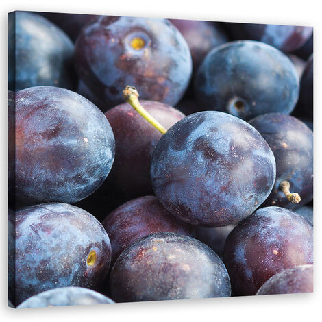Quadro su tela, Macro prugna - 30x30