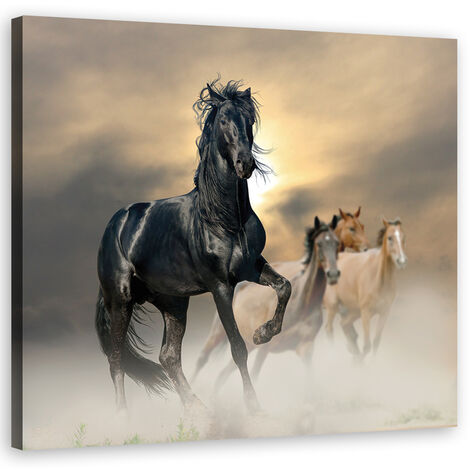 Quadro su tela, Mandria di cavalli - 30x30