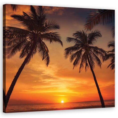 Quadro su tela, Mare Palme tropicali - 30x30