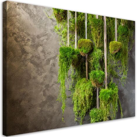 Quadro su tela, Muschio Pianta Botanica - 90x60