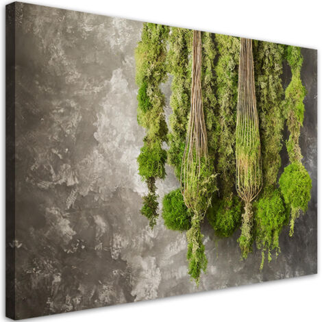 Quadro su tela, Muschio pianta natura - 100x70