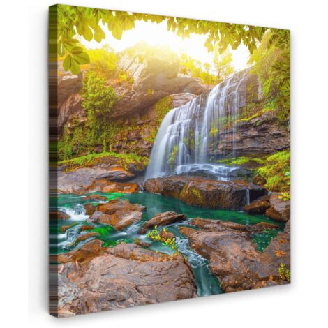 QUADRO SU TELA Natura - Cascata - Piante - Alberi - Sole 20x20 cm