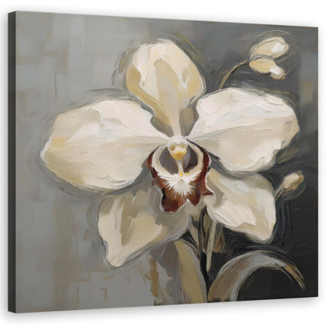 Quadro su tela, Orchidea bianca dipinta - 30x30
