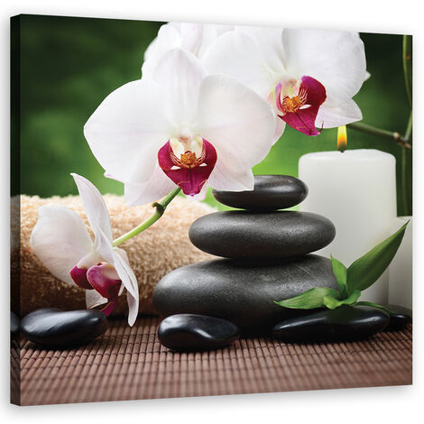 Quadro su tela, Orchidee zen - 50x50