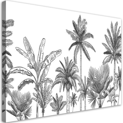 Quadro su tela, Palme in bianco e nero - 60x40