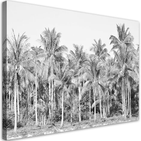 Quadro su tela, Palme in bianco e nero nella giungla - 90x60