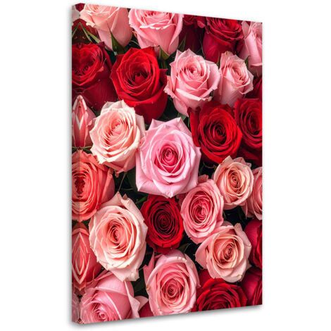 Quadro su tela, Rose fiori piante natura, 20x30