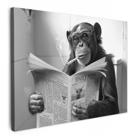 QUADRO SU TELA Scimmia - WC - Giornale - Bianco e nero - Umorismo 80x60 cm