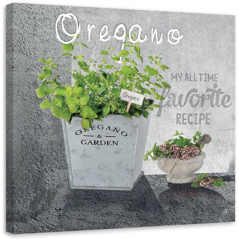 Quadro su tela, Spezie di cucina di origano - 60x60