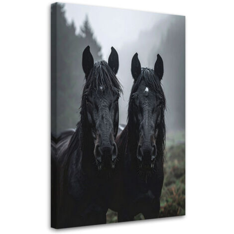 Quadro su tela, Teste di cavallo nero animali natura, 30x45