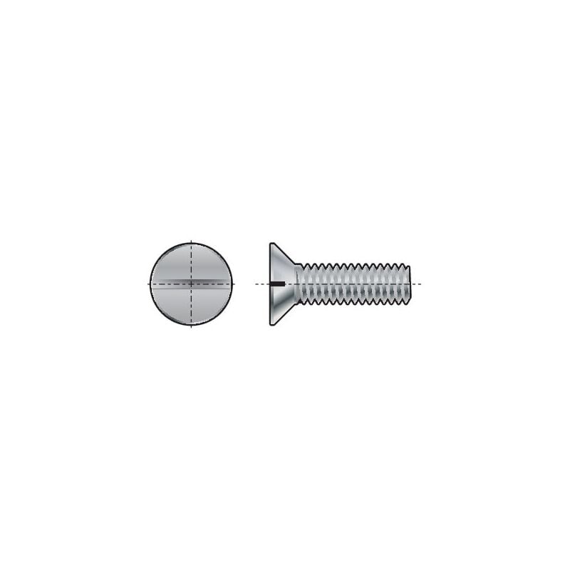 Qualfast M6X25 Slotted Countersunk Screw Nylon PA (GR-6.6)- you get 25