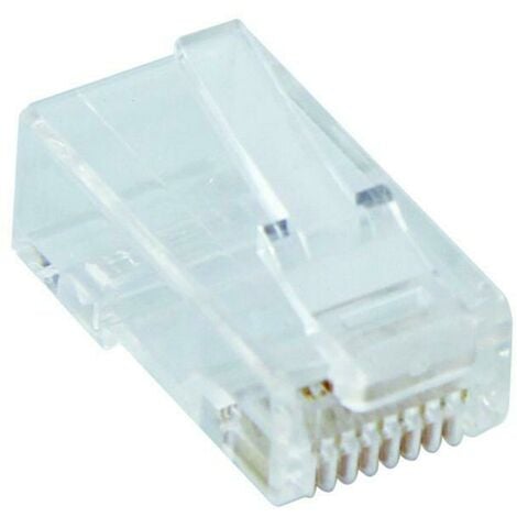 Qubix spina plug rj45 utp