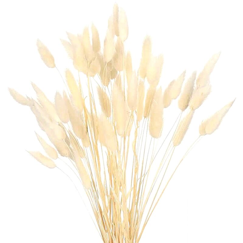 Tlily - Queues de Lapin SéChéEs Arrangements de Fleurs de Fleurs Naturelles Bouquet de Fleurs SéChéEs de Mariage DéCor Boho pour
