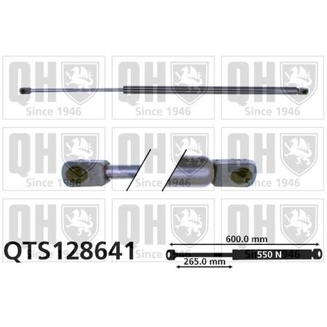QUINTON HAZELL VÉRIN DE HAYON QTS128641