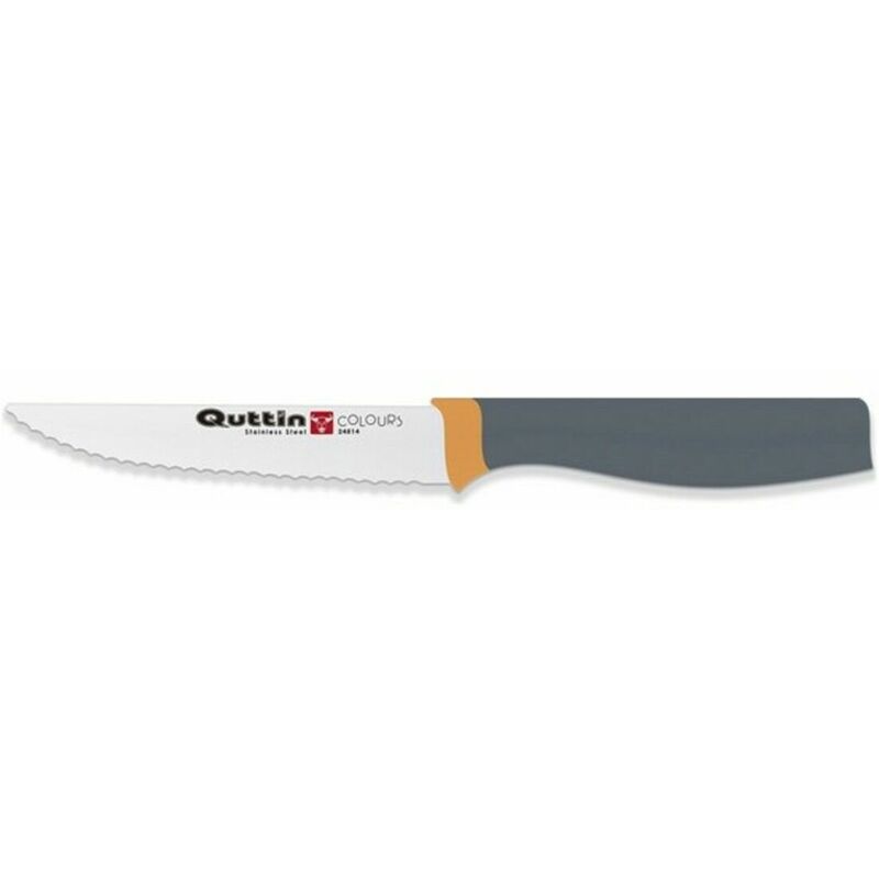 

Cuchillo de Sierra Colours (11 cm) - Quttin
