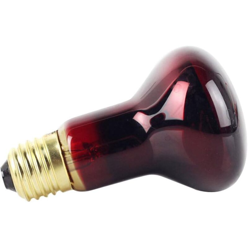 R63 infrarouge ampoule 40 W Spot Lampe chauffante ponton