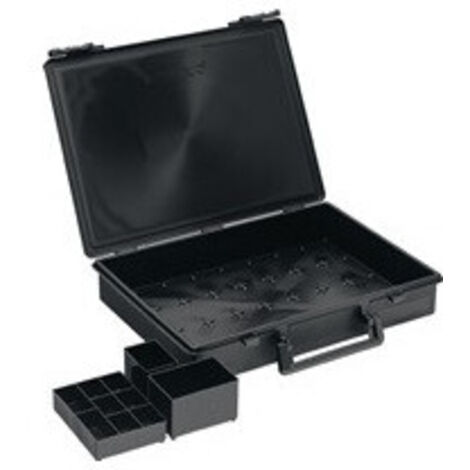 raaco Assorter 55 4x8-0 Valigetta per minuteria (L x A x P) 338 x 57 x 261 mm Contenuto 1 pz.